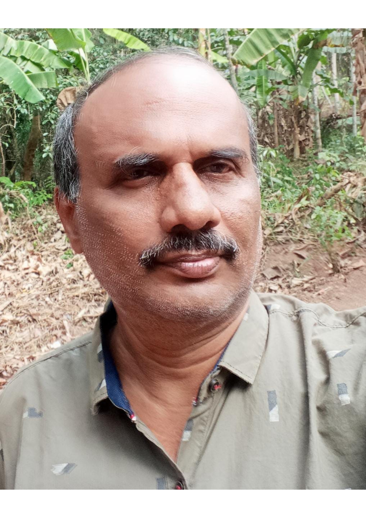 Dr. RAMACHANDRAN M N 
